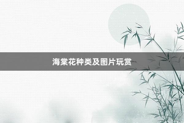 海棠花种类及图片玩赏