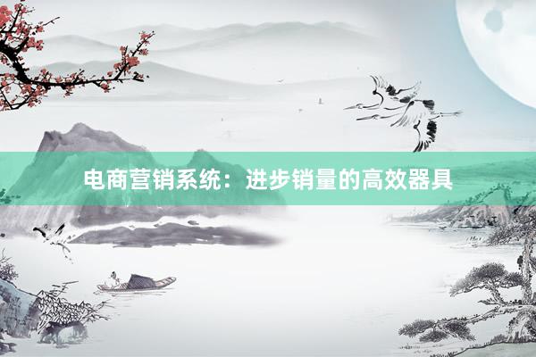 电商营销系统：进步销量的高效器具